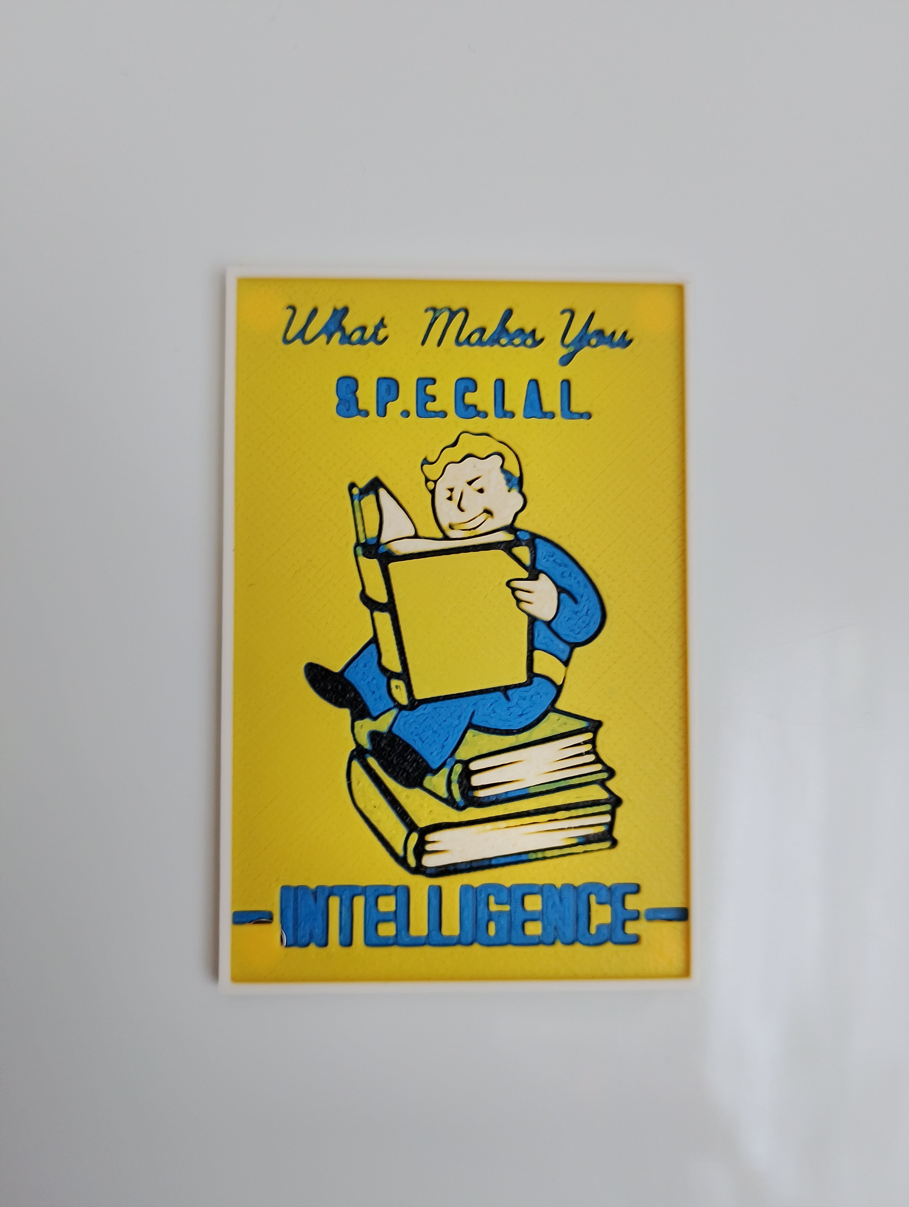 FALLOUT S.P.E.C.I.A.L. Kylskåpsmagnet