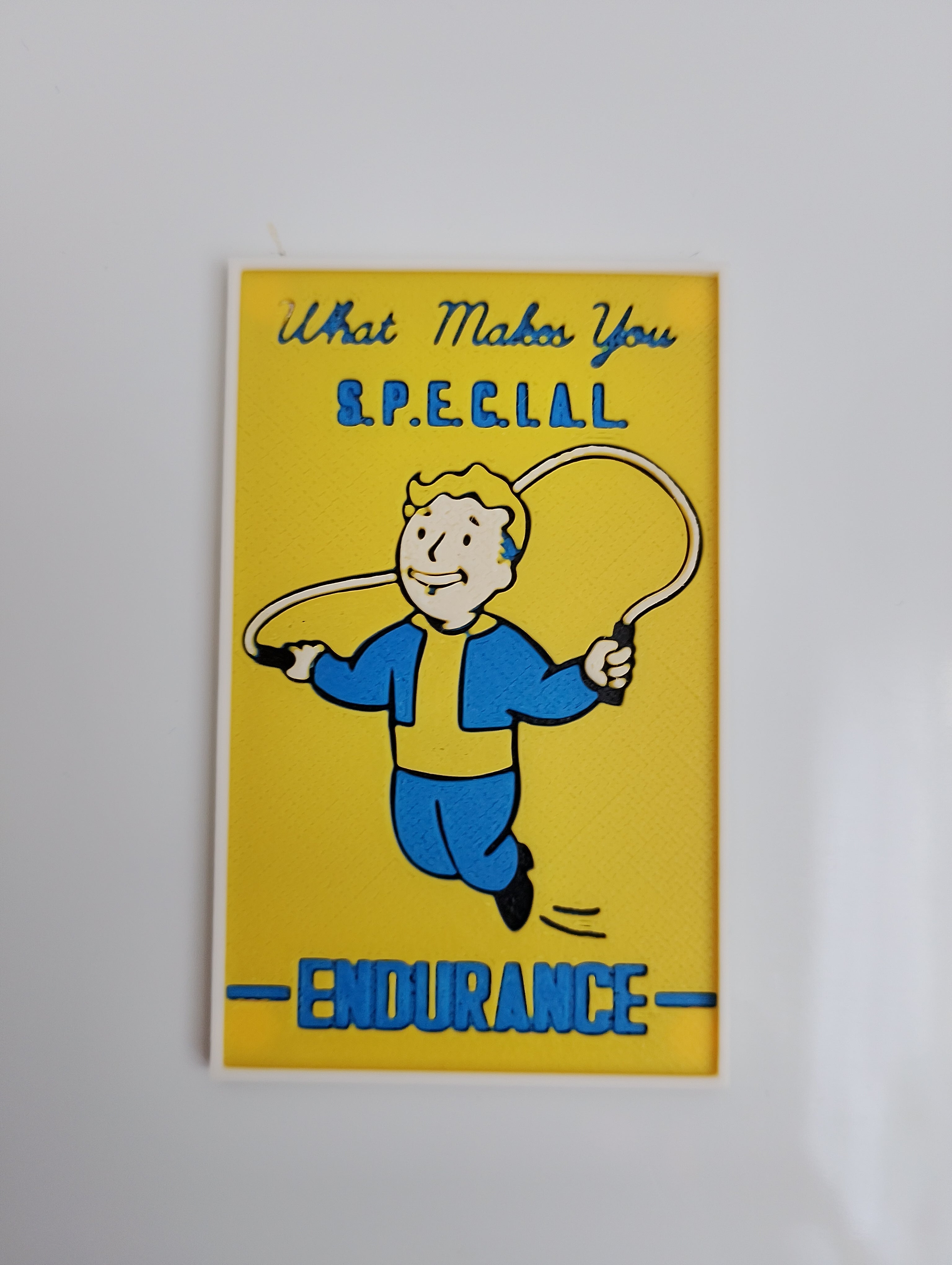 FALLOUT S.P.E.C.I.A.L. Kylskåpsmagnet