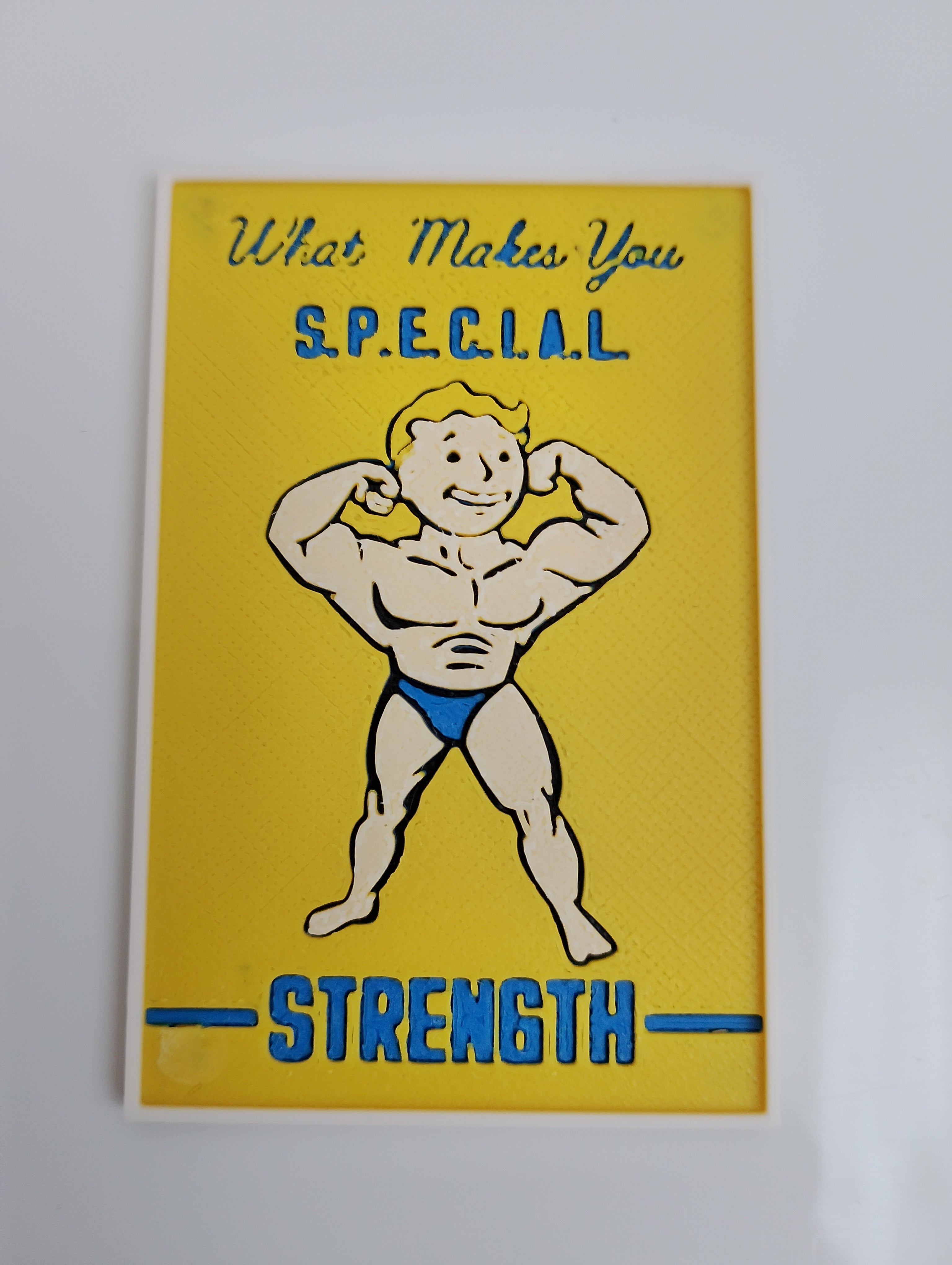 FALLOUT S.P.E.C.I.A.L. Kylskåpsmagnet